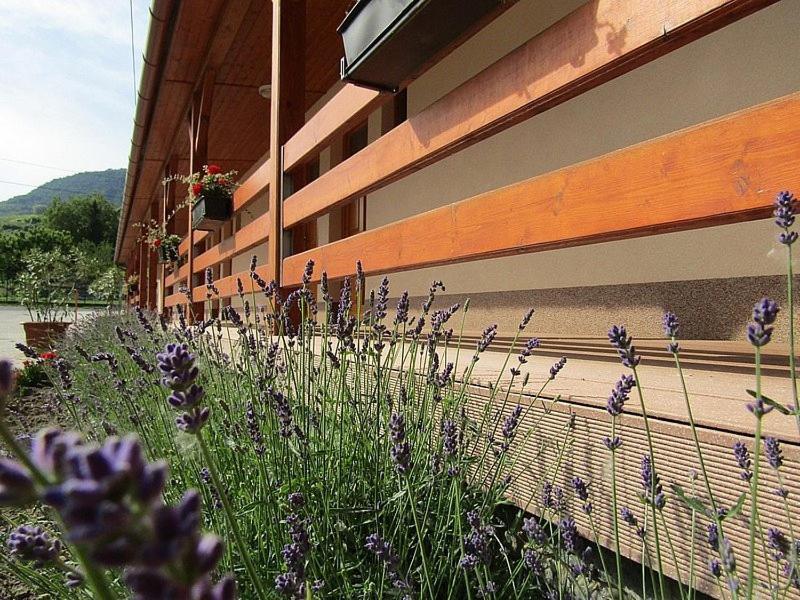Hotel Halaszkert Badacsony Badacsonytomaj Zewnętrze zdjęcie