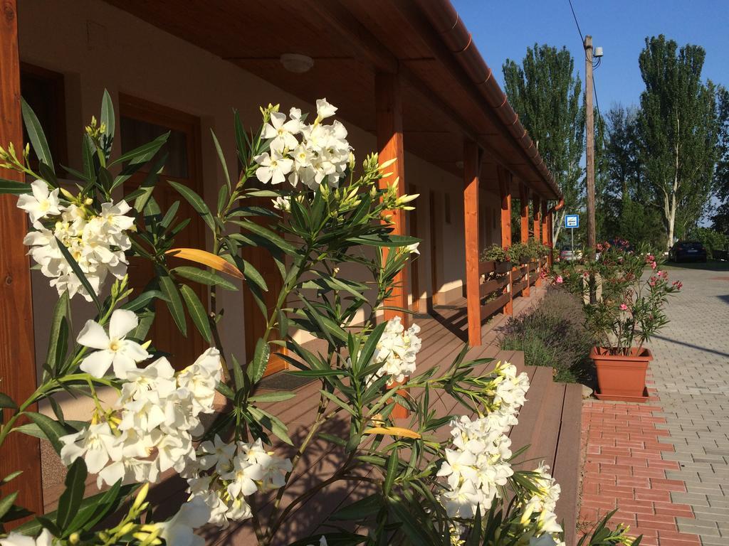 Hotel Halaszkert Badacsony Badacsonytomaj Zewnętrze zdjęcie